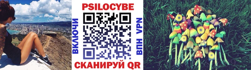 blacksprut ТОР  Гурьевск  Галлюциногенные грибы Cubensis 