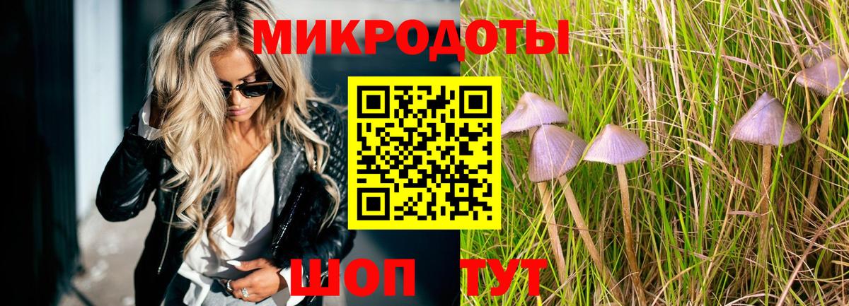 Псилоцибиновые грибы MAGIC MUSHROOMS Гурьевск