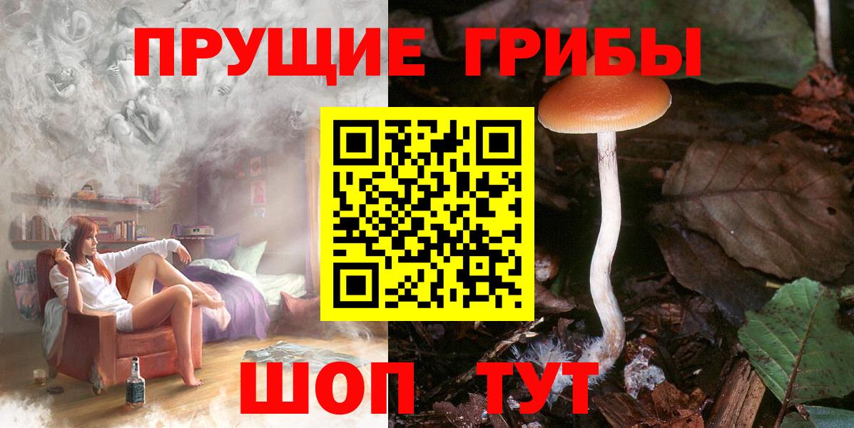 хочу наркоту  Вход с VPN  Гурьевск  Псилоцибиновые грибы Cubensis  Галлюциногенные грибы Cubensis 