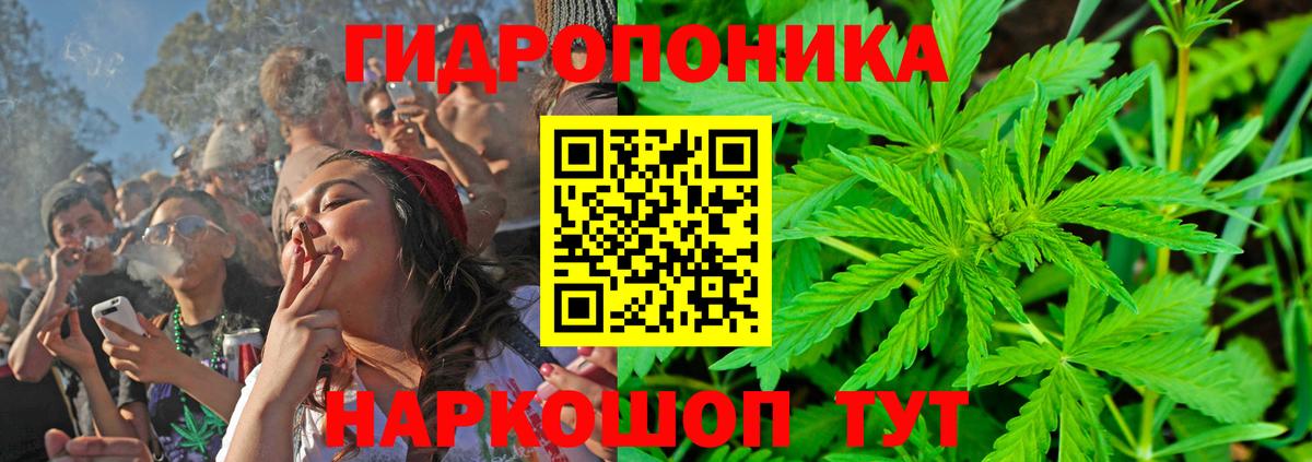 Конопля план  Вход с VPN  Шишки марихуана марихуана  Шишки марихуана планчик  Гурьевск 